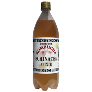 lewtress echinacea kombucha tea probiotic health drink 2 x 1 litre bottles