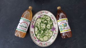 Tangy Kombucha Cucumber Salad Recipe