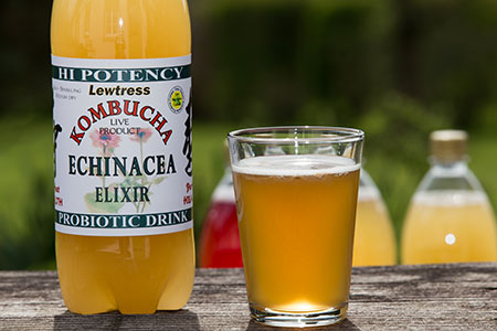 What is Kombucha | Blog | Lewtress